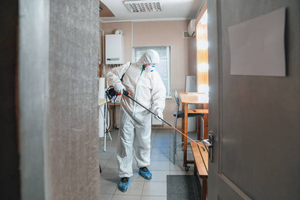 Professional Mold Removal in Poplar Plains, CT