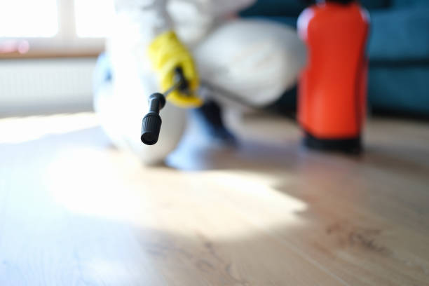 Best Commercial Mold Inspection  in Poplar Plains, CT