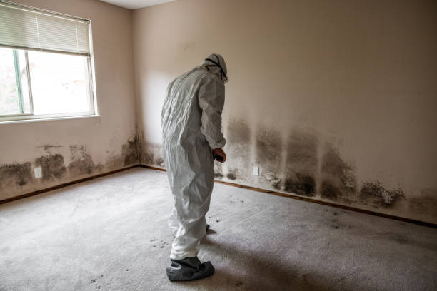 Biohazard Mold Removal in Poplar Plains, CT